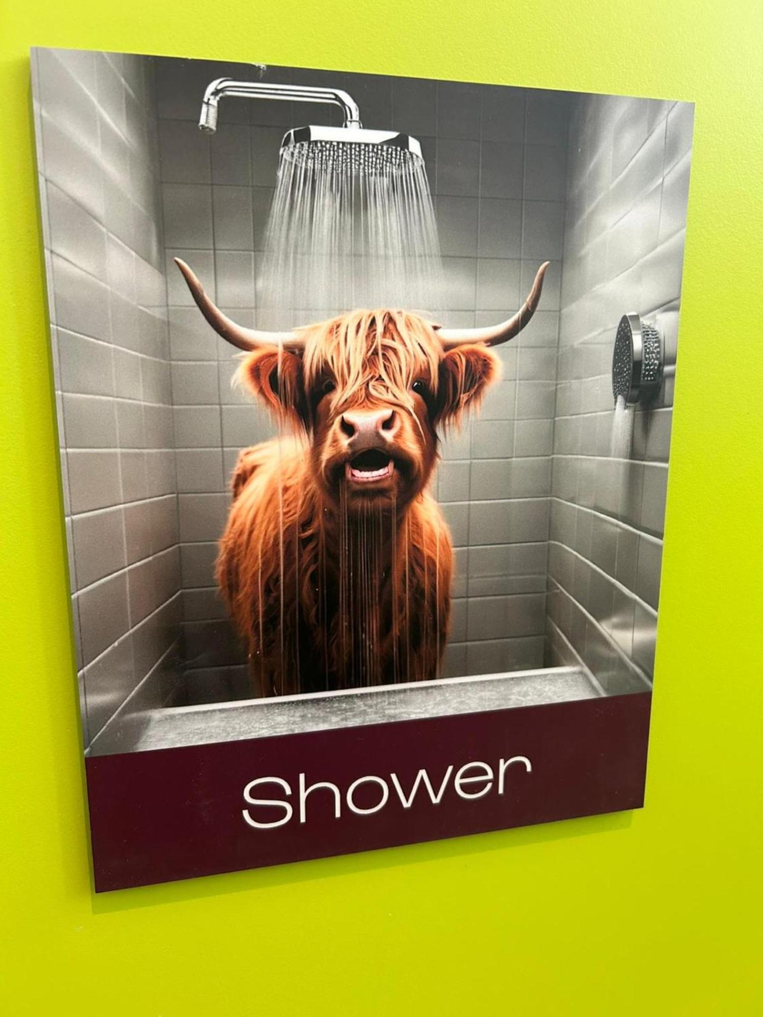 Safestay Edinburgh Cowgate Kültér fotó